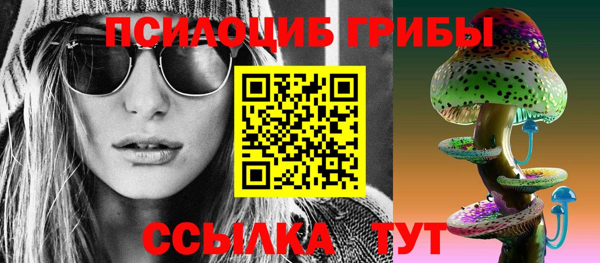 магазин продажи   Вход с VPN  Тула  Галлюциногенные грибы прущие грибы 